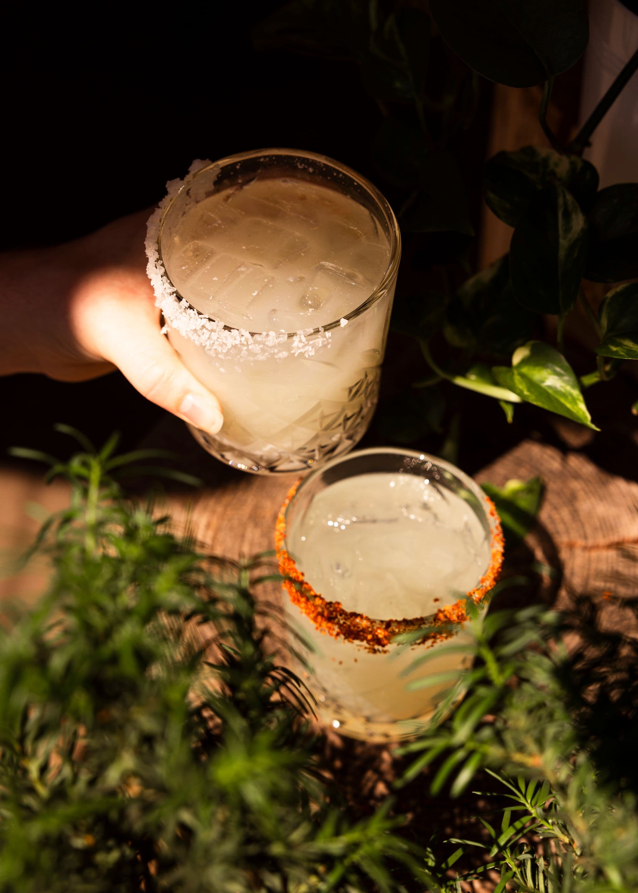 Camp Margarita